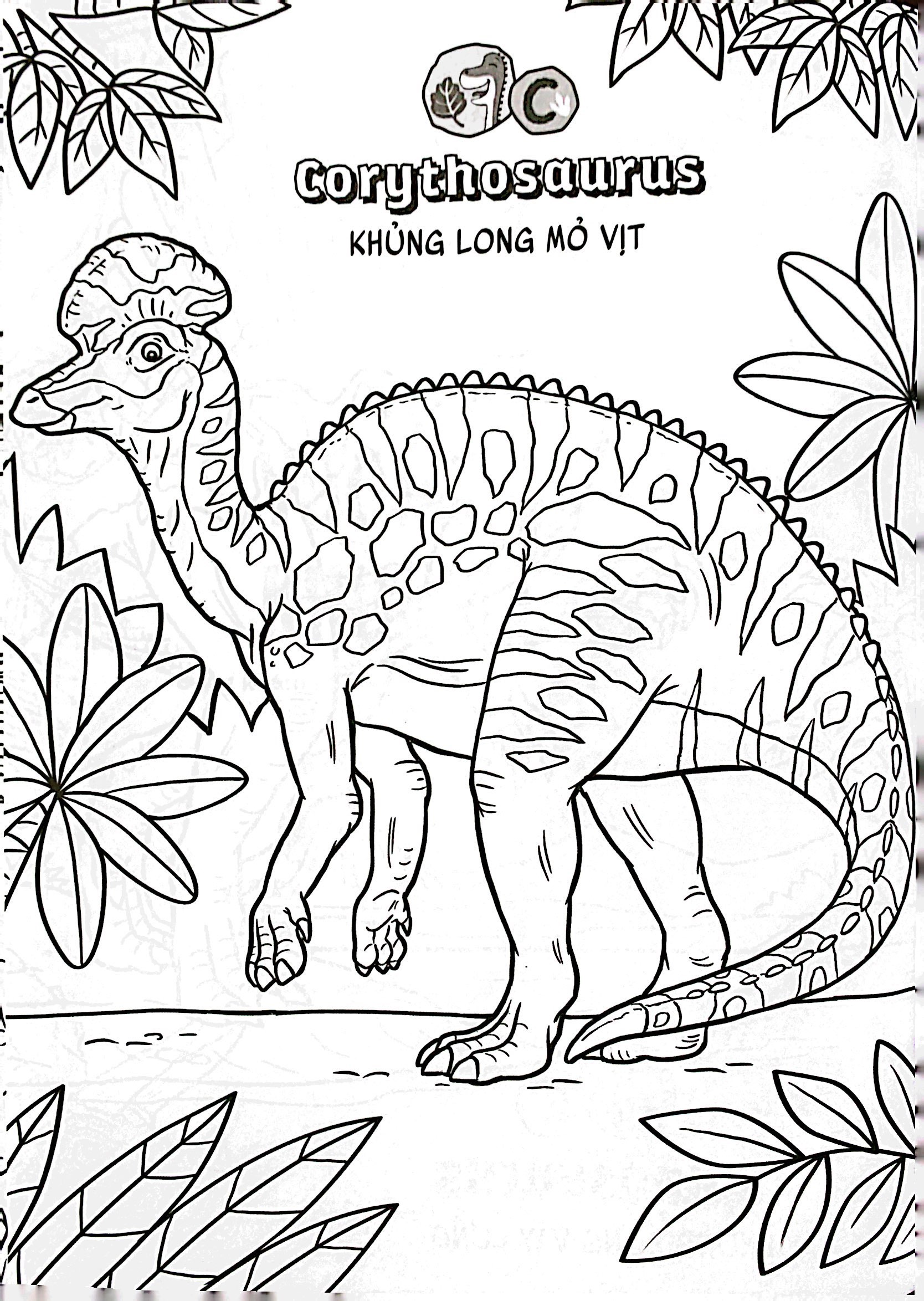 bộ bé học-bé chơi - tô màu vương quốc khủng long 3 - Ảnh 4