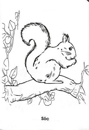 bộ bé tập tô màu - thảo cầm viên của em - tập 3 - Ảnh 3