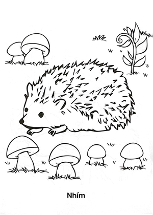 bộ bé tập tô màu - thảo cầm viên của em - tập 3 - Ảnh 5