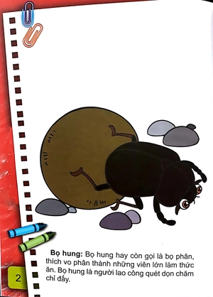 bộ bé tô màu (2-6+) - những con côn trùng bé nhỏ - tập 1 (tái bản 2017) - Ảnh 3