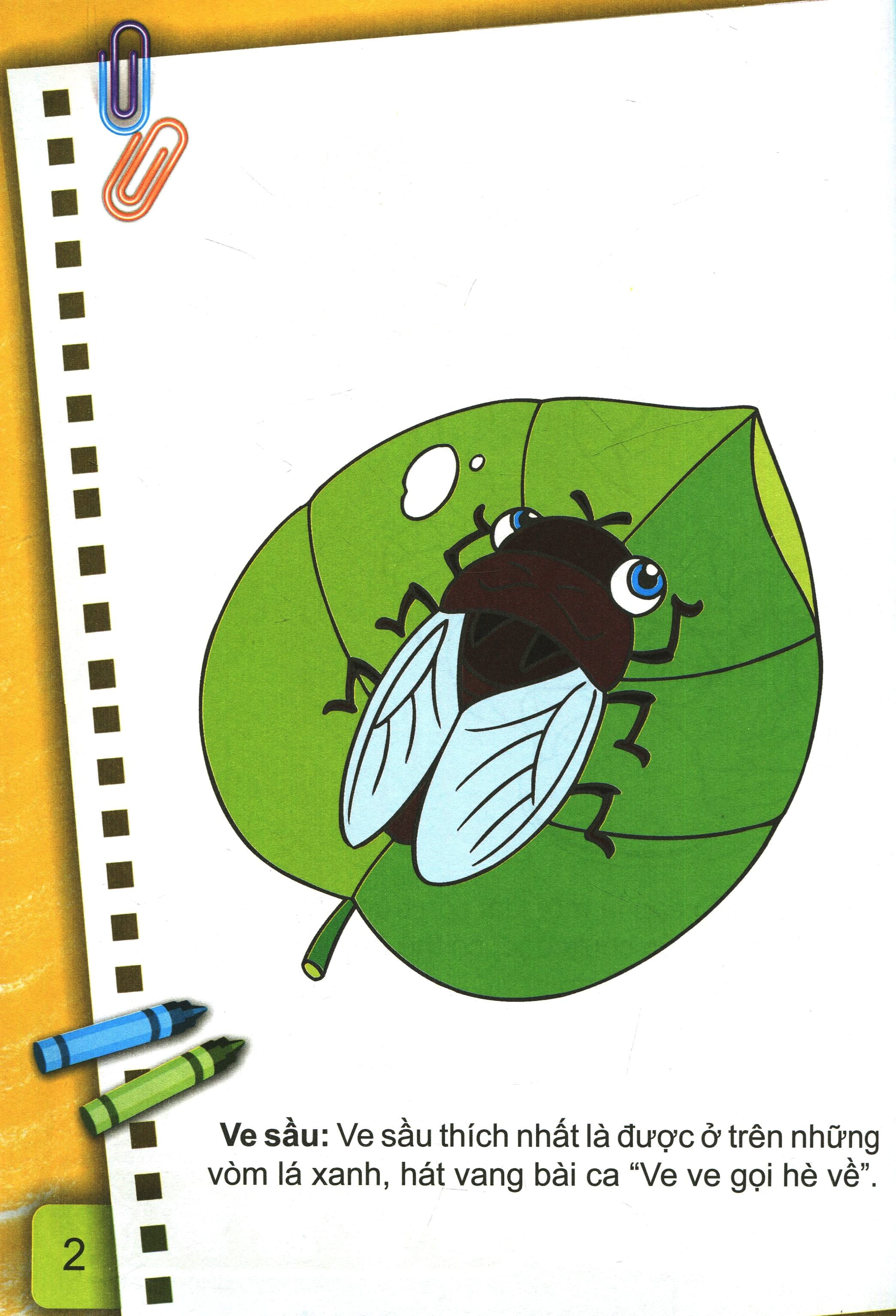 bộ bé tô màu (2-6+) - những con côn trùng bé nhỏ - tập 2 (tái bản 2017) - Ảnh 2