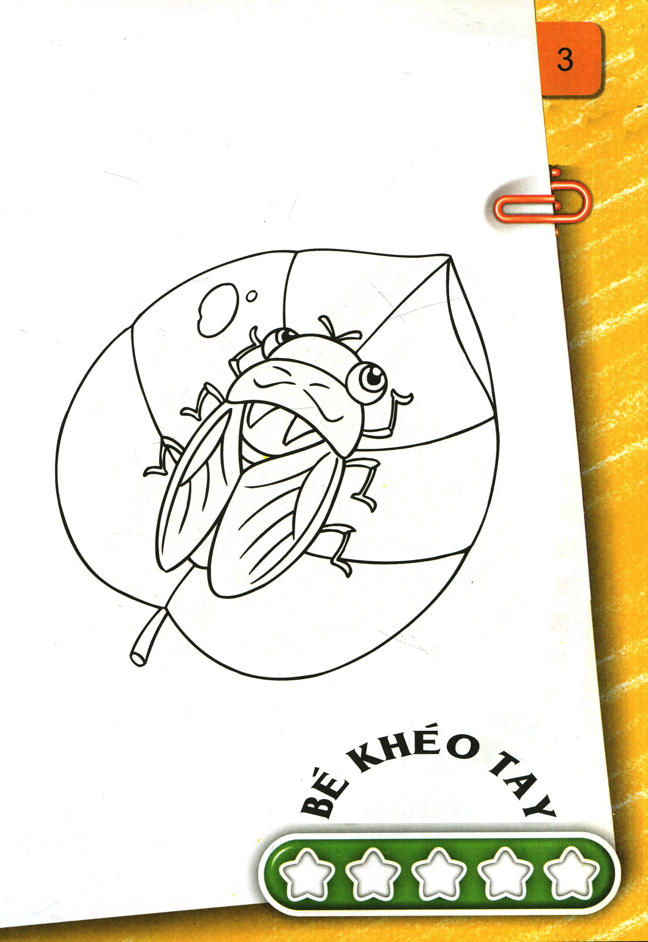 bộ bé tô màu (2-6+) - những con côn trùng bé nhỏ - tập 2 (tái bản 2017) - Ảnh 3