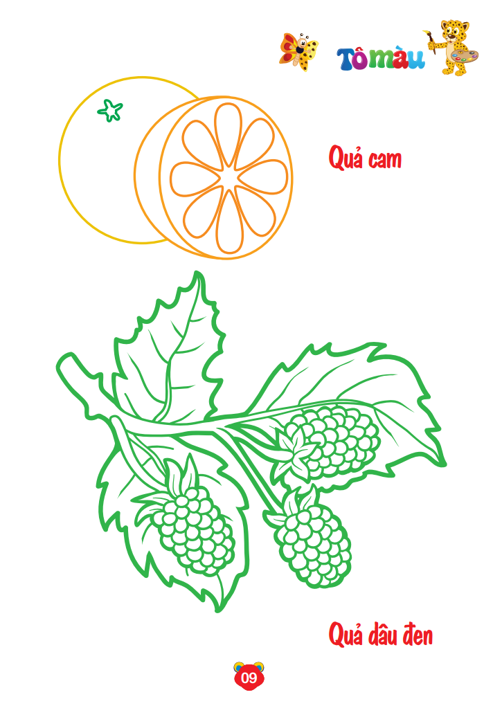 bộ bé tô màu thế giới xung quanh song ngữ anh - việt - trái cây (quyển 8) - Ảnh 10