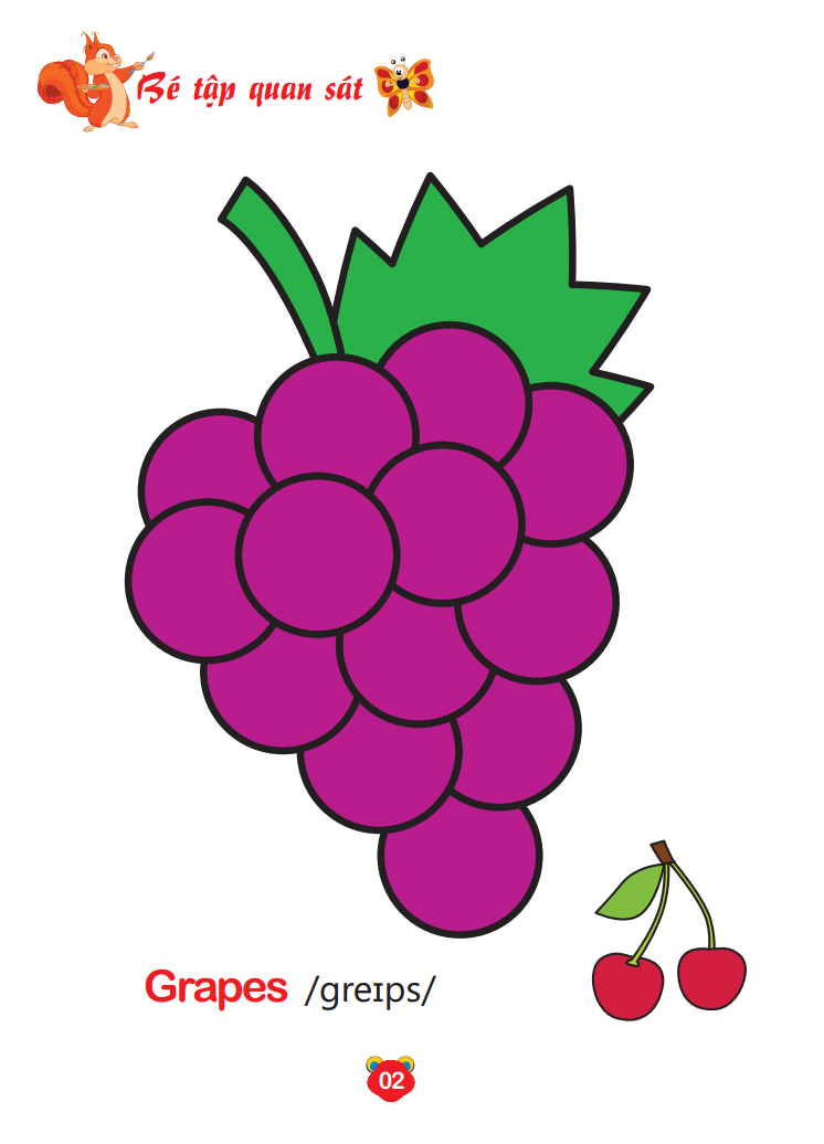 bộ bé tô màu thế giới xung quanh song ngữ anh - việt - trái cây (quyển 8) - Ảnh 3