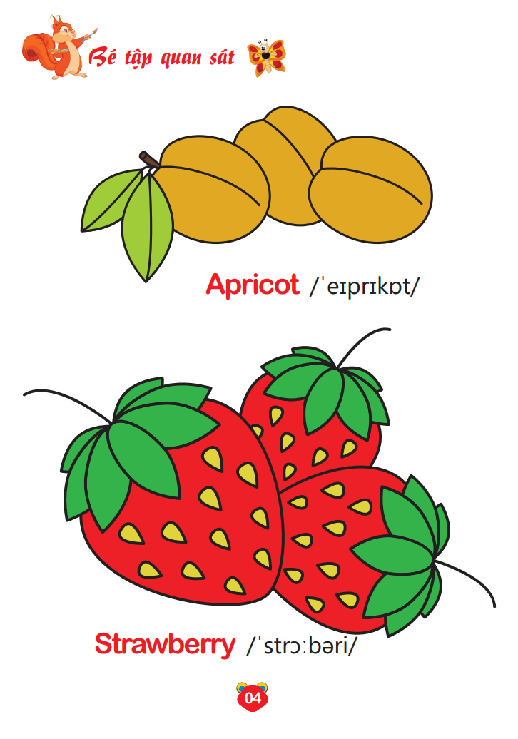 bộ bé tô màu thế giới xung quanh song ngữ anh - việt - trái cây (quyển 8) - Ảnh 5