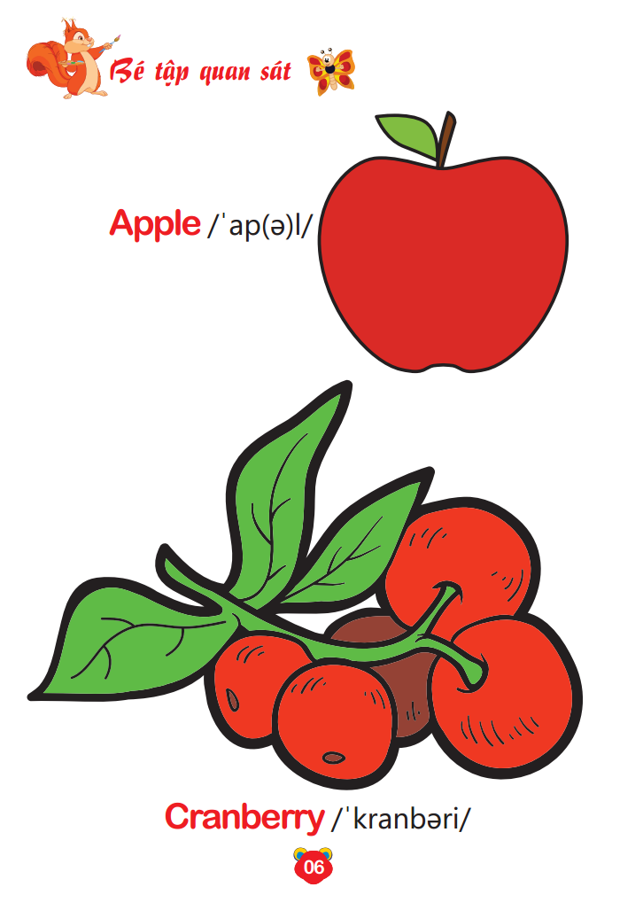 bộ bé tô màu thế giới xung quanh song ngữ anh - việt - trái cây (quyển 8) - Ảnh 7