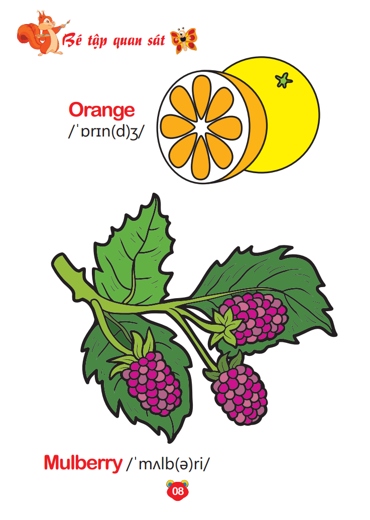bộ bé tô màu thế giới xung quanh song ngữ anh - việt - trái cây (quyển 8) - Ảnh 9