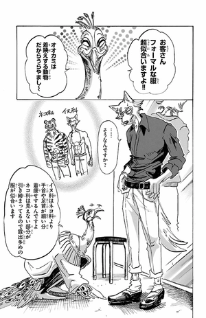 bộ beastars 14 - Ảnh 10