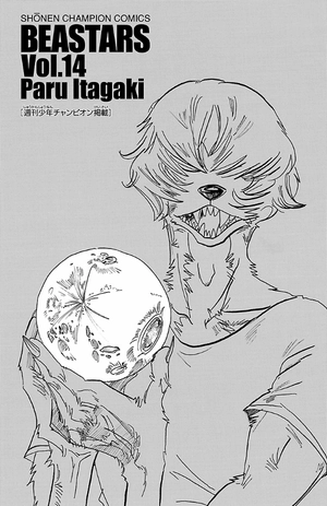 bộ beastars 14 - Ảnh 4