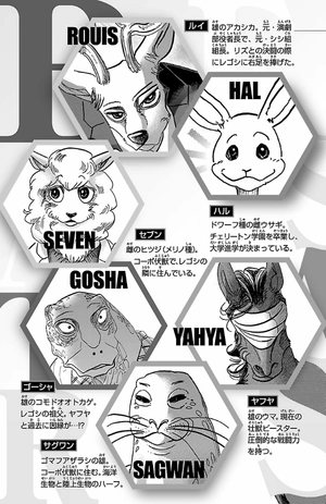 bộ beastars 14 - Ảnh 6