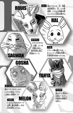 bộ beastars 15 - Ảnh 6