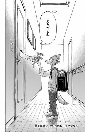bộ beastars 16 - Ảnh 10