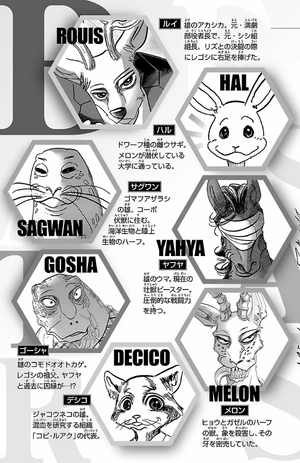 bộ beastars 18 - Ảnh 7