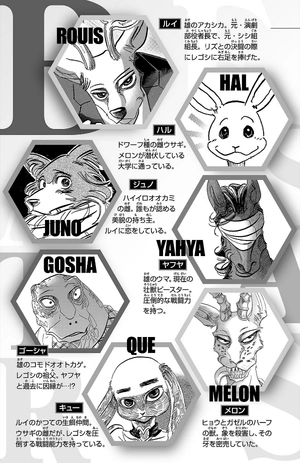 bộ beastars 22 - Ảnh 6