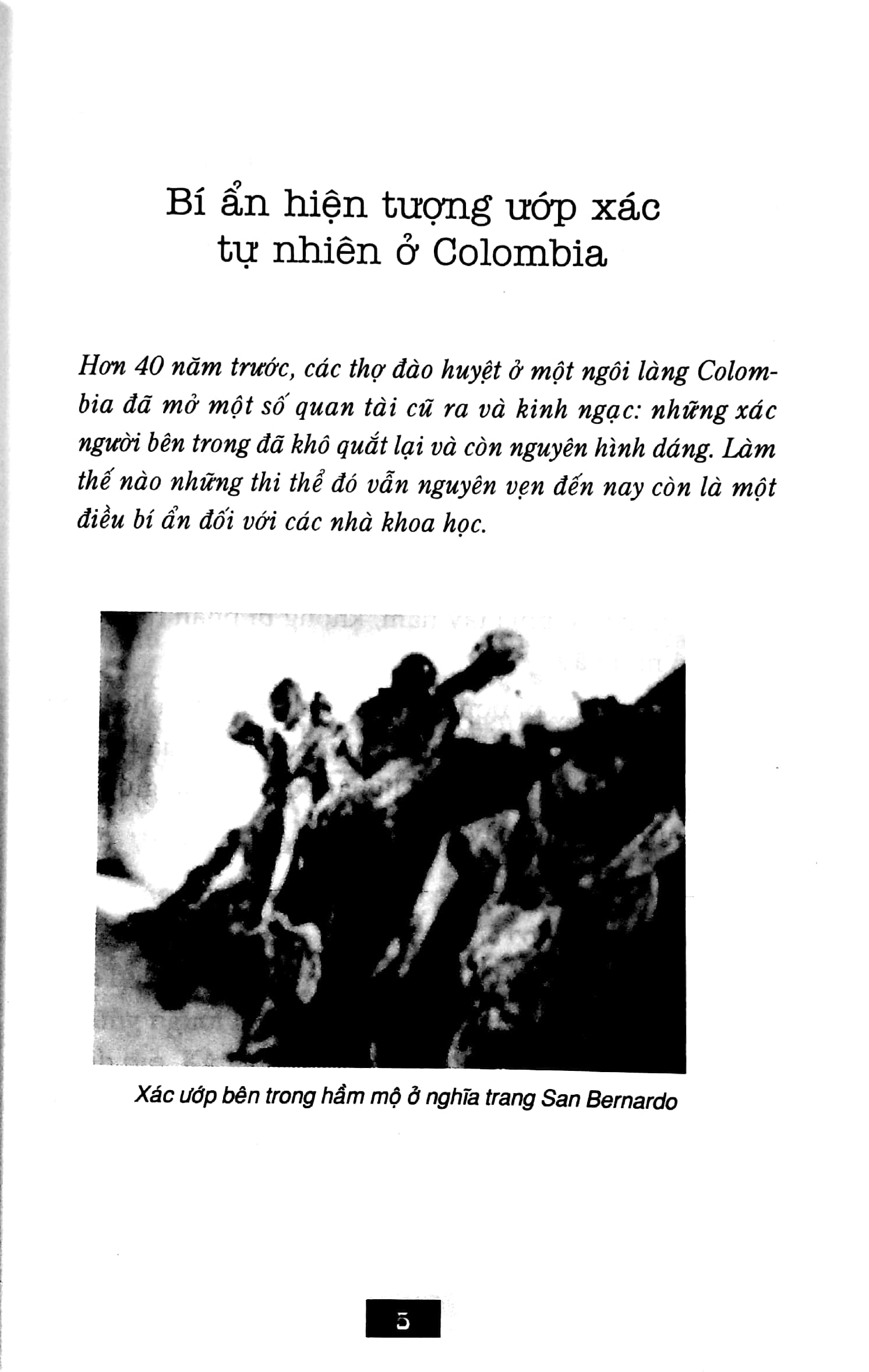 bộ bí ẩn mãi mãi là bí ẩn 02 (tái bản 2022) - Ảnh 4