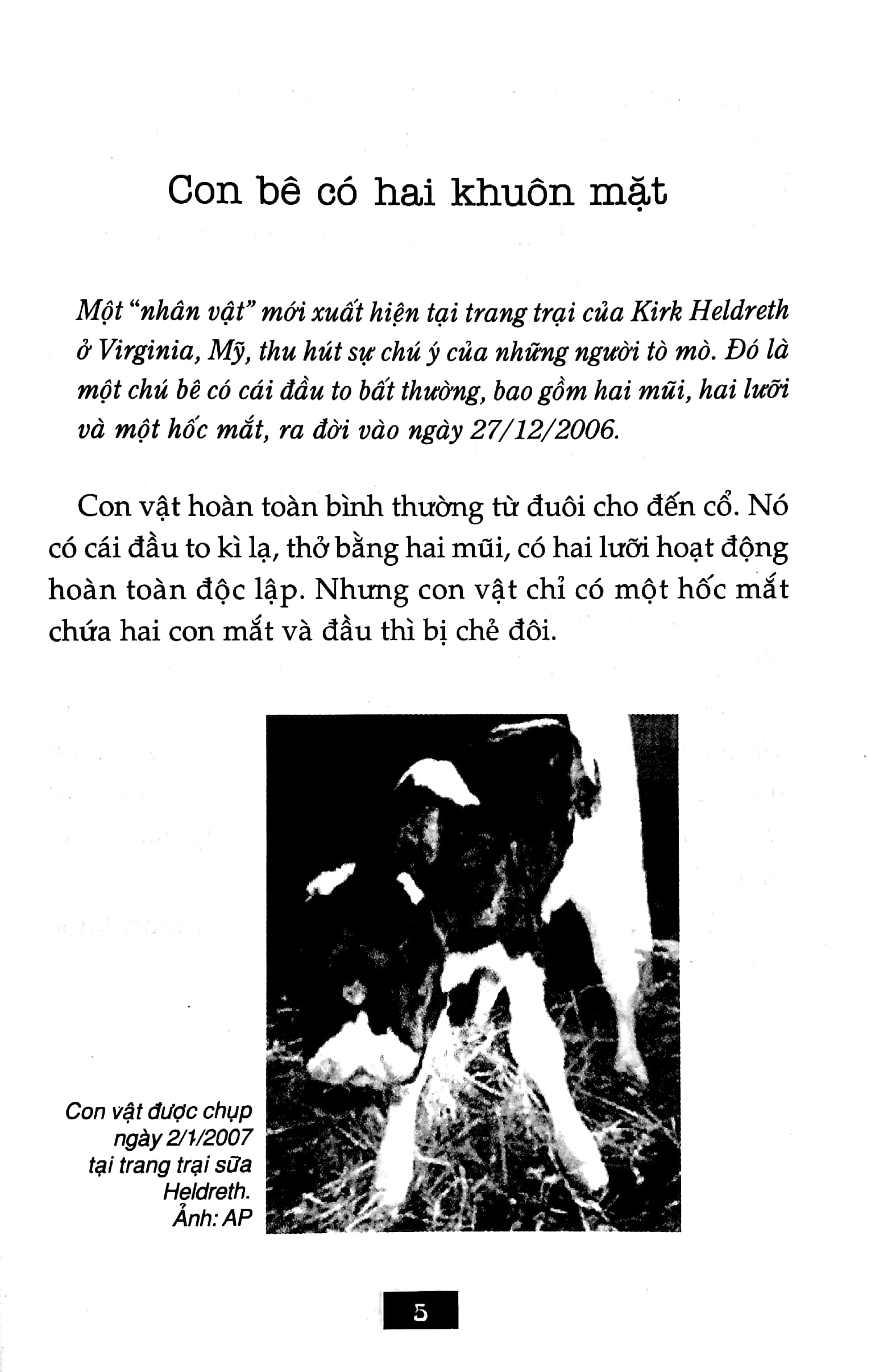 bộ bí ẩn mãi mãi là bí ẩn 03 (tái bản 2022) - Ảnh 4