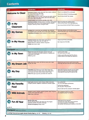 bộ big english ame 2ed level 2 value pack (sb + wb) - Ảnh 3