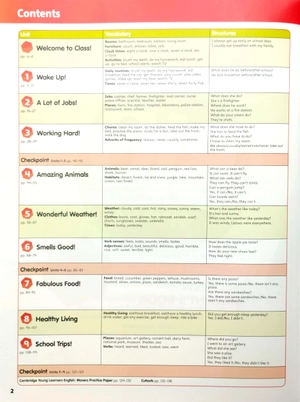 bộ big english ame 2ed level 3 value pack (sb + wb) - Ảnh 6