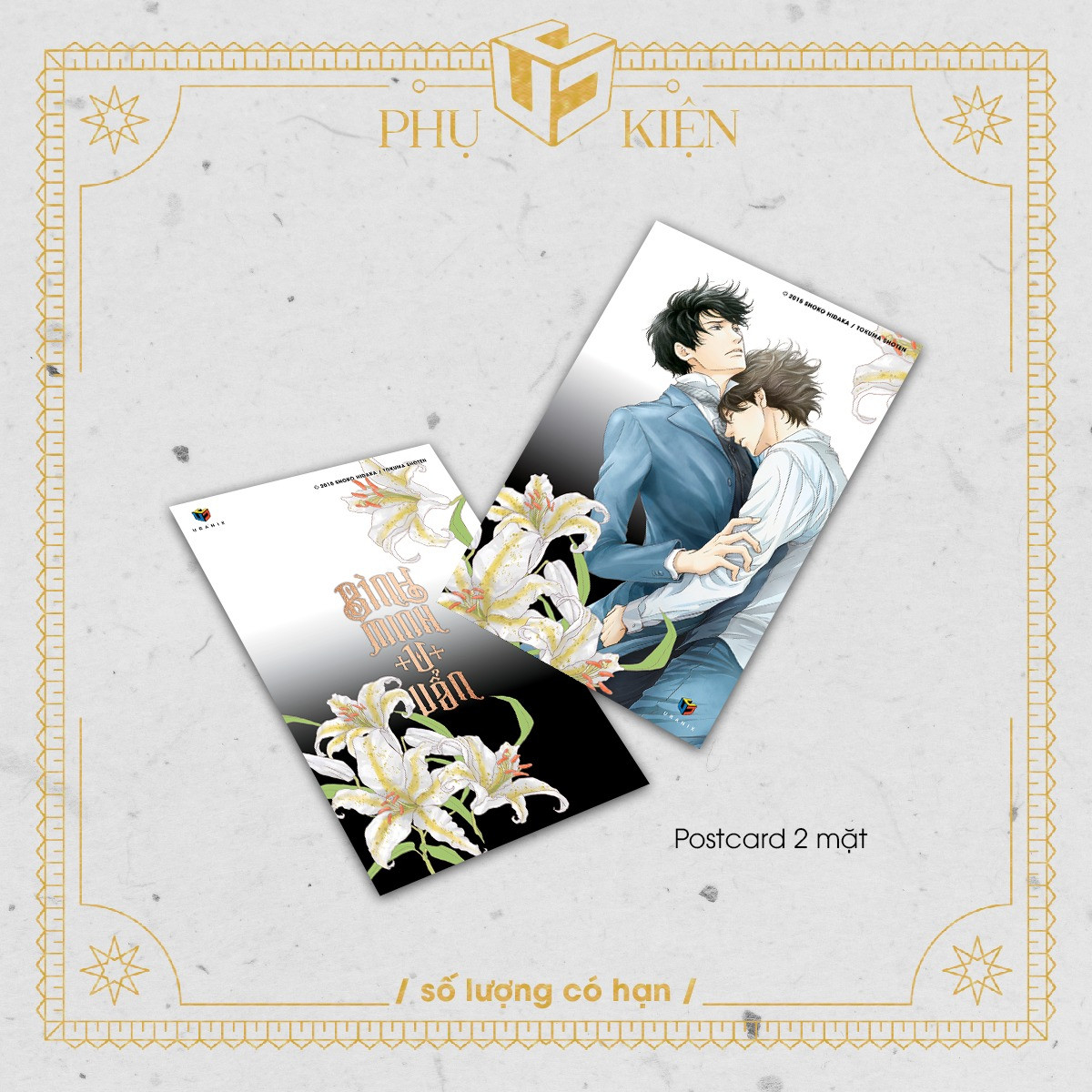 bộ bình minh u uẩn - tập 6 - tặng kèm postcard - Ảnh 3
