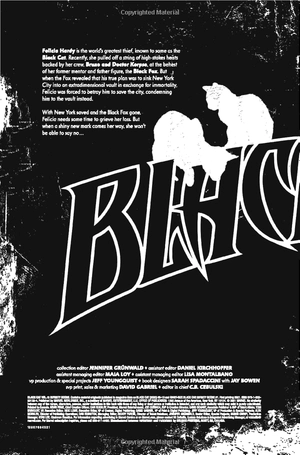 bộ black cat vol. 6: infinity score - Ảnh 5