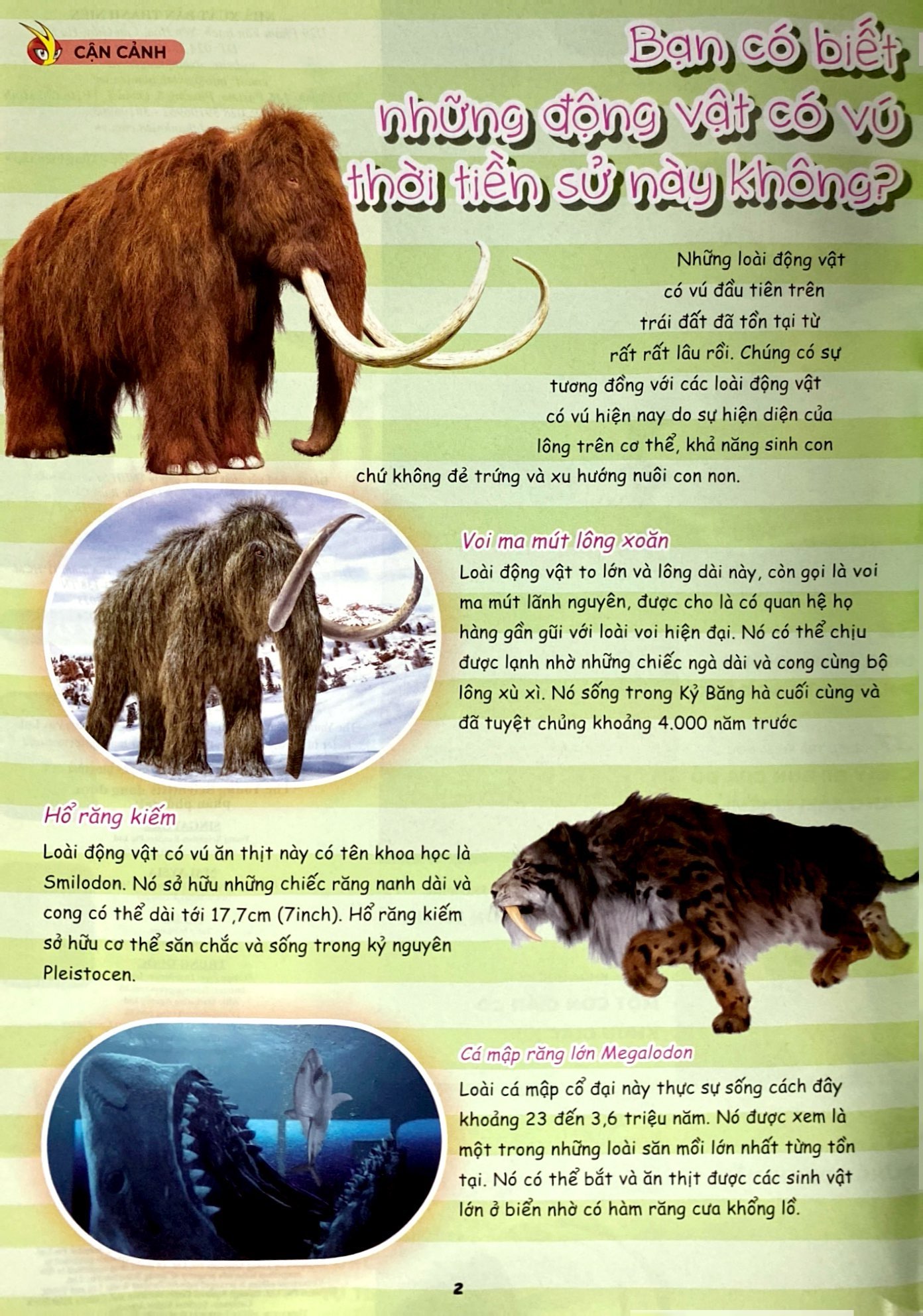 bộ bộ sách the young scientist - truyện tranh khoa học cho trẻ em - tập 5 - level 1+2+3 (bộ 3 cuốn) - tặng kèm túi gôm 3d hoohoohaha® ngẫu nhiên - Ảnh 3