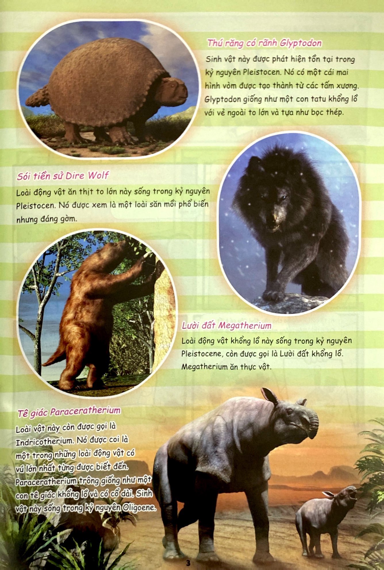 bộ bộ sách the young scientist - truyện tranh khoa học cho trẻ em - tập 5 - level 1+2+3 (bộ 3 cuốn) - tặng kèm túi gôm 3d hoohoohaha® ngẫu nhiên - Ảnh 4