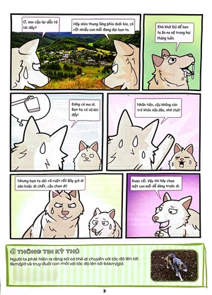 bộ bộ sách the young scientist - truyện tranh khoa học cho trẻ em - tập 7 - level 1+2+3 (bộ 3 cuốn) - Ảnh 10