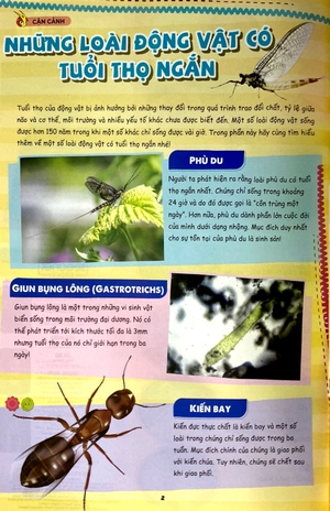bộ bộ sách the young scientist - truyện tranh khoa học cho trẻ em - tập 7 - level 1+2+3 (bộ 3 cuốn) - Ảnh 3