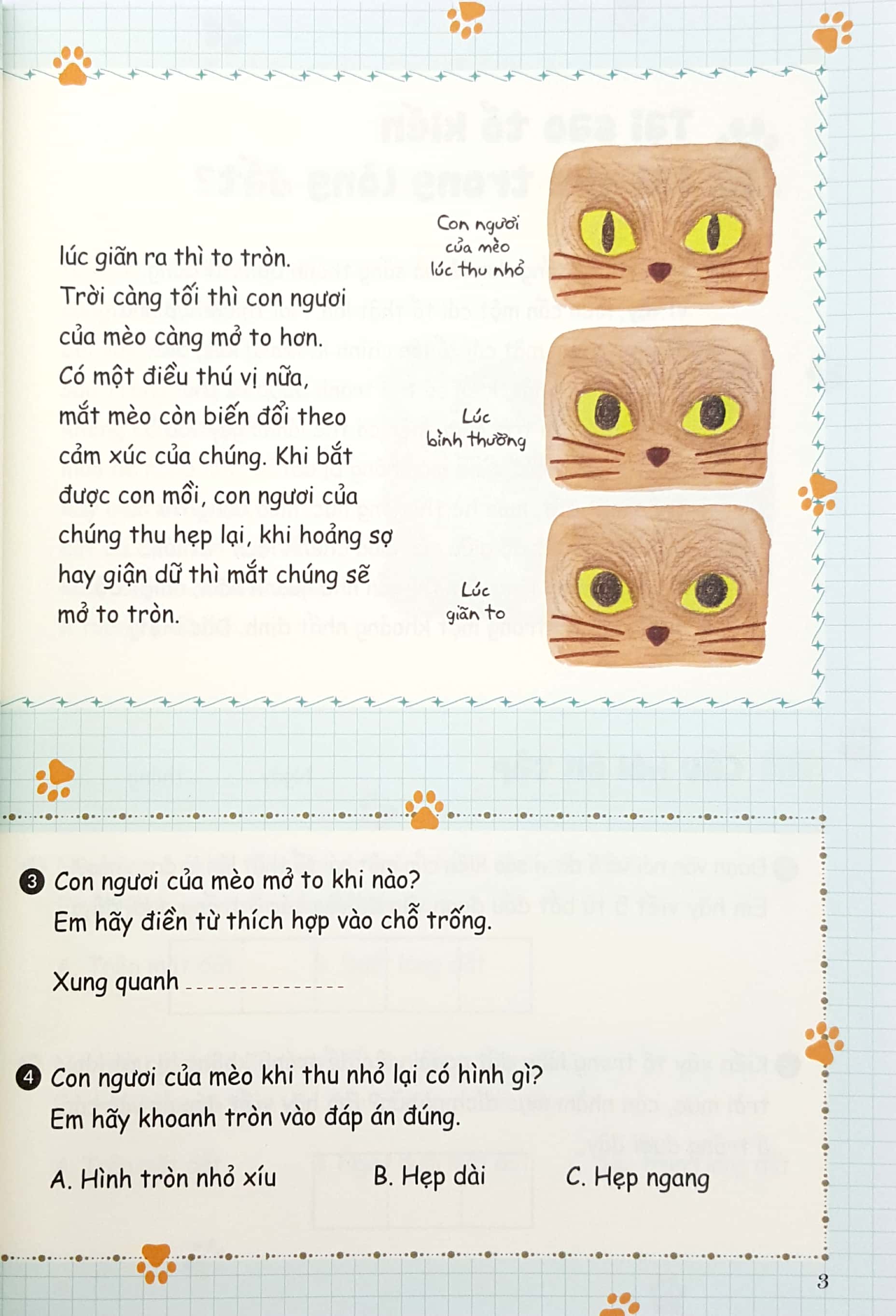 Bộ Bồi Dưỡng Kĩ Năng Đọc Hiểu Cho Học Sinh Tiểu Học - Bí Mật Của Tự Nhiên - Quyển 1 (Tái Bản 2019) - Ảnh 4