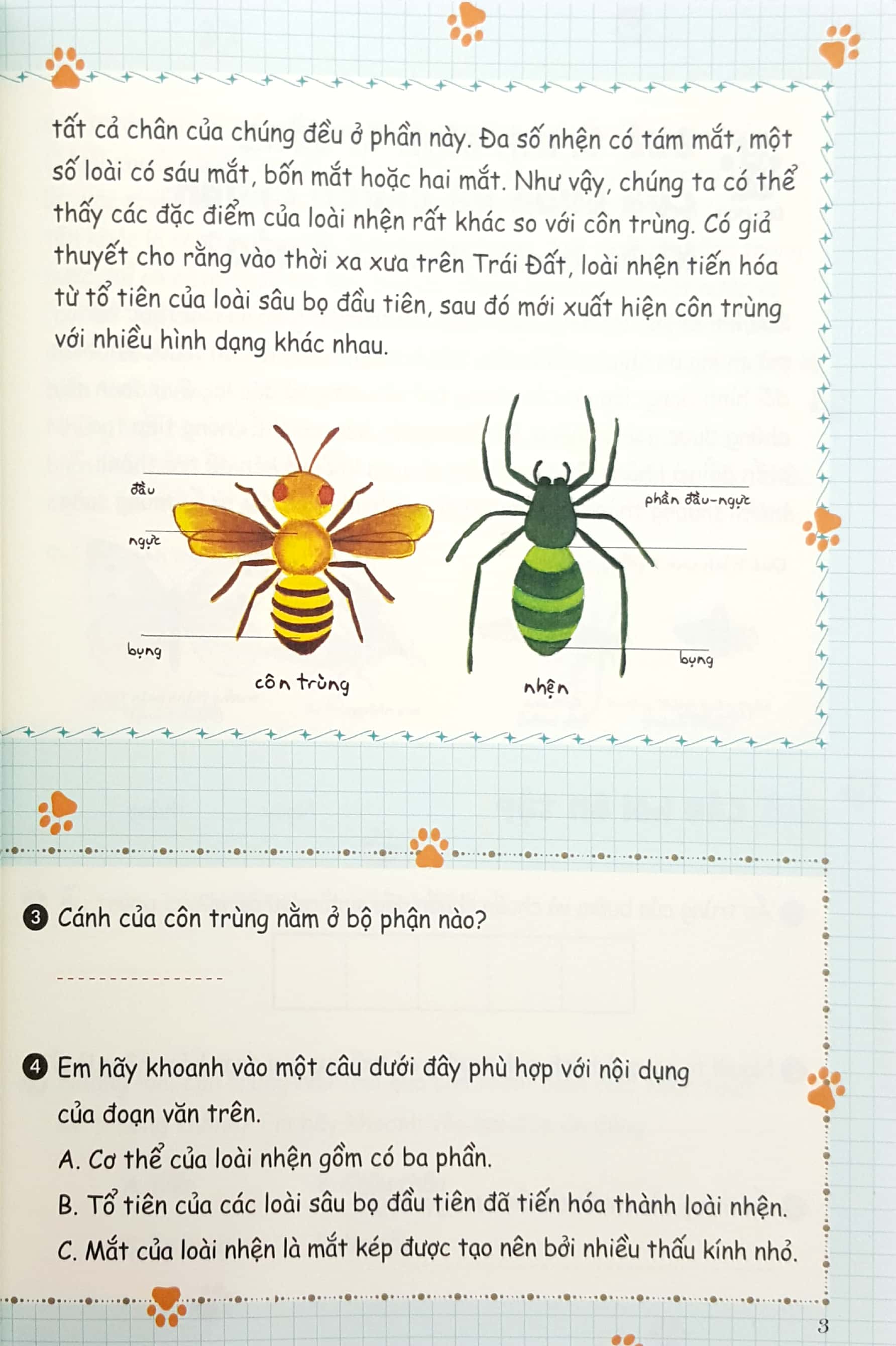 bộ bồi dưỡng kĩ năng đọc hiểu cho học sinh tiểu học - bí mật của tự nhiên - quyển 3 (tái bản 2019) - Ảnh 4