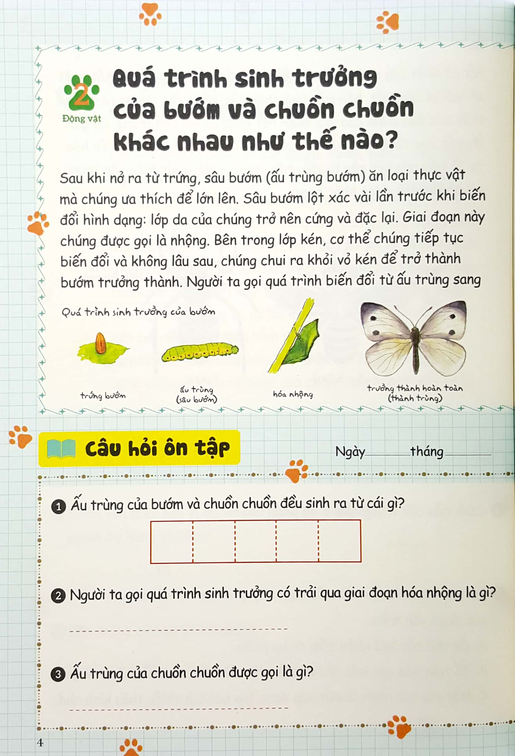 bộ bồi dưỡng kĩ năng đọc hiểu cho học sinh tiểu học - bí mật của tự nhiên - quyển 3 (tái bản 2019) - Ảnh 5
