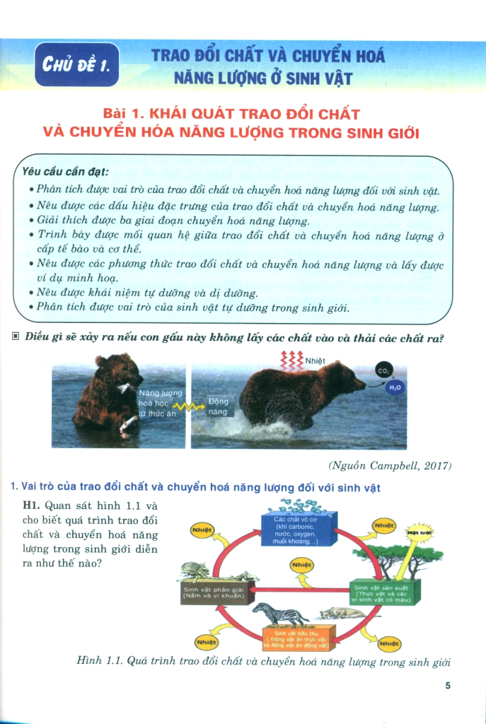 Bộ Bồi Dưỡng Năng Lực Tự Học Sinh Học 11 - Ảnh 5