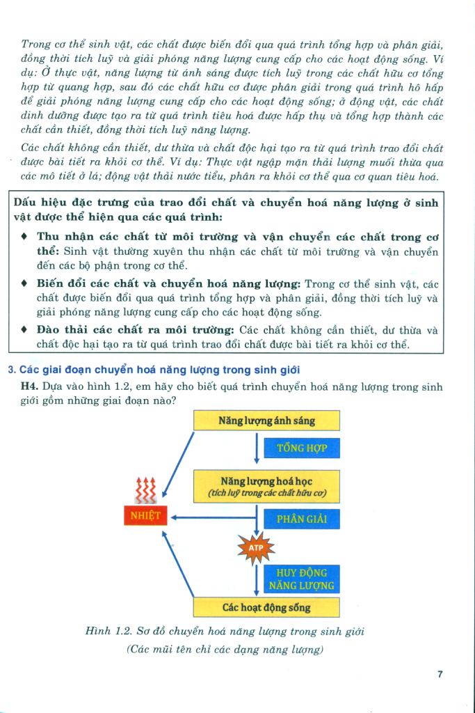 Bộ Bồi Dưỡng Năng Lực Tự Học Sinh Học 11 - Ảnh 7