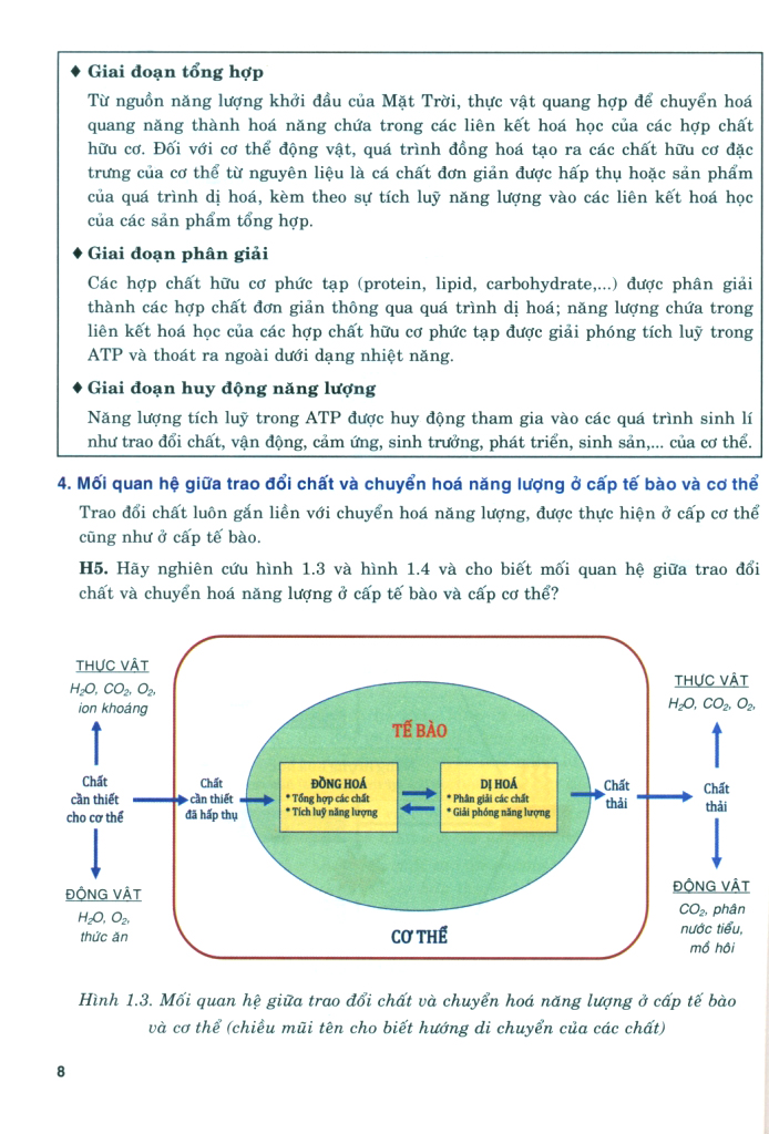 Bộ Bồi Dưỡng Năng Lực Tự Học Sinh Học 11 - Ảnh 8