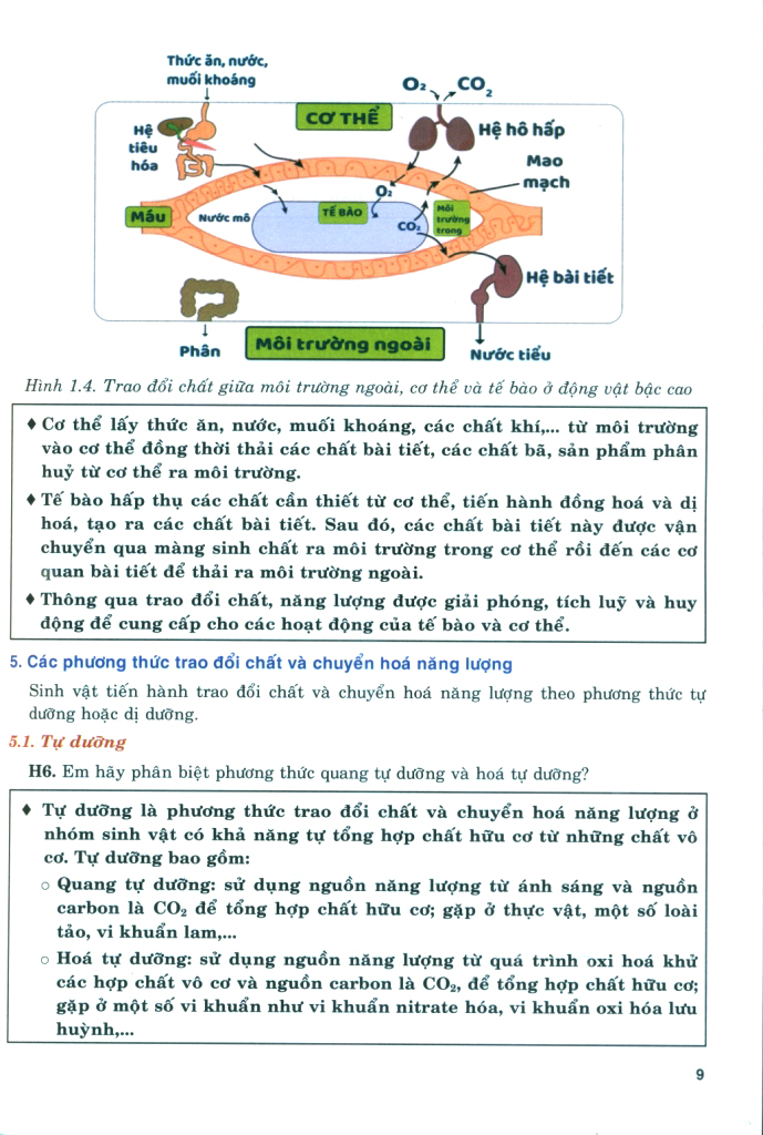 Bộ Bồi Dưỡng Năng Lực Tự Học Sinh Học 11 - Ảnh 9