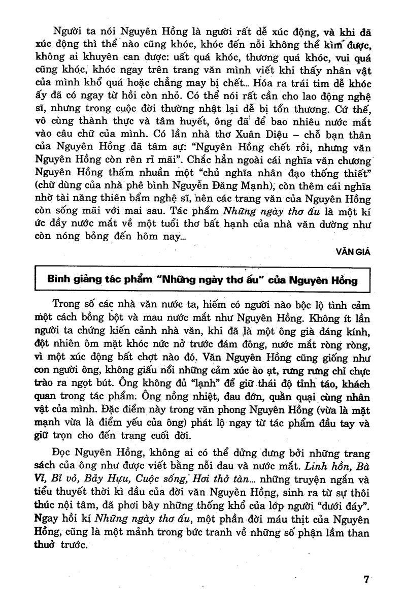 bộ bồi dưỡng văn năng khiếu 8 - Ảnh 6