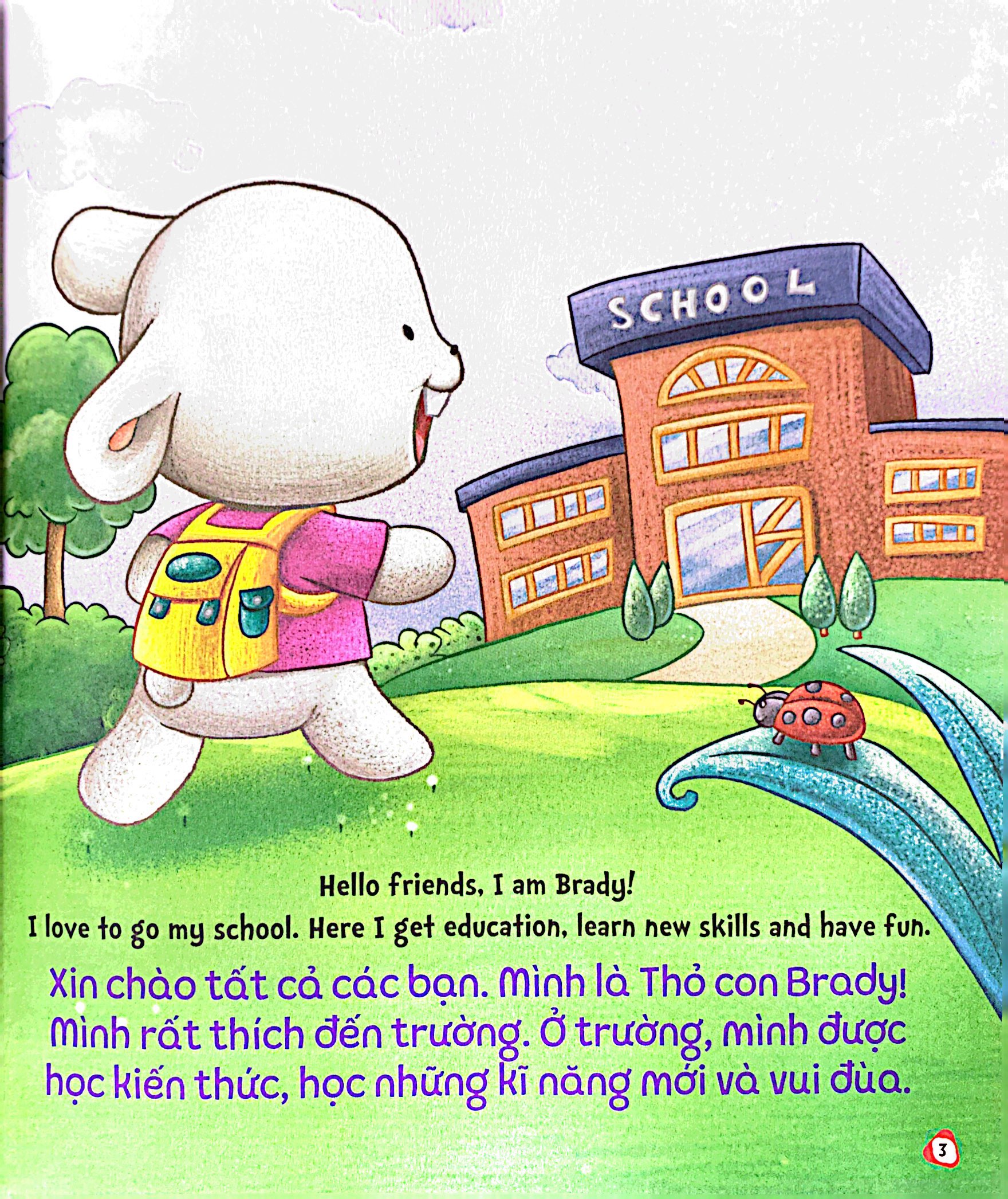 bộ brady siêu đỉnh - 365 ngày phát triển trí tuệ - level 2 - trường học và brady chơi trốn tìm - Ảnh 5