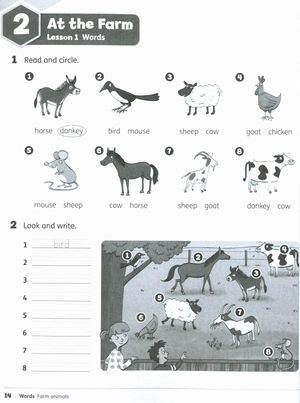 bộ buzz 2 workbook - Ảnh 4