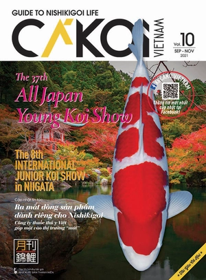 bộ cá koi - tập 10 - Ảnh 2