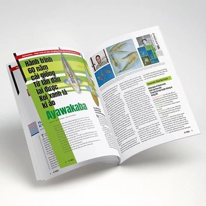 bộ cá koi - tập 11 - Ảnh 4