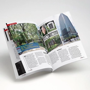 bộ cá koi - tập 11 - Ảnh 6