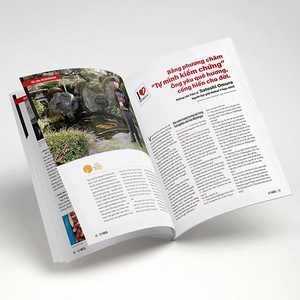 bộ cá koi - tập 11 - Ảnh 7