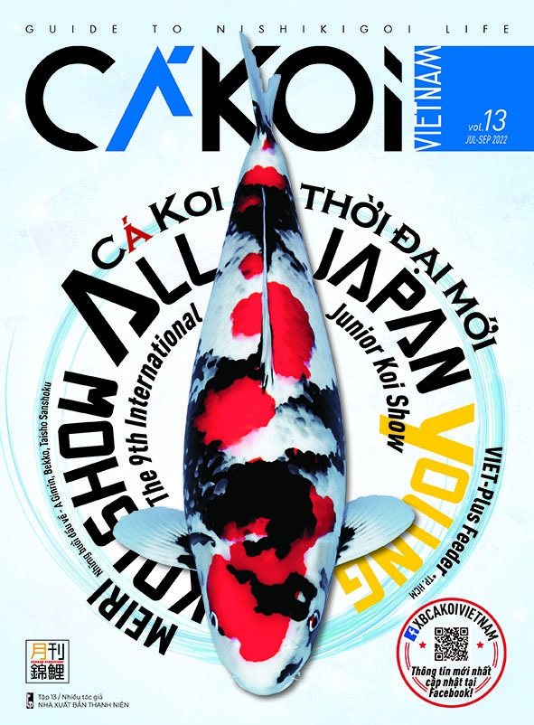 bộ cá koi - tập 13 - Ảnh 2