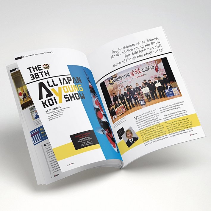 bộ cá koi - tập 13 - Ảnh 4