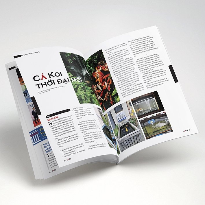 bộ cá koi - tập 13 - Ảnh 5