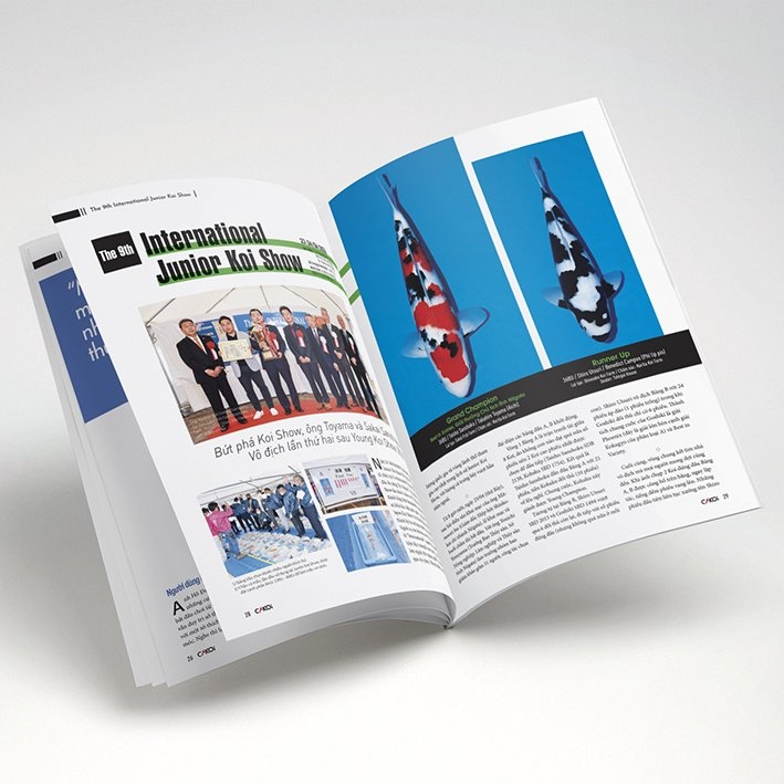 bộ cá koi - tập 13 - Ảnh 6