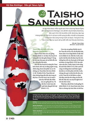 bộ cá koi - tập 4 - Ảnh 2