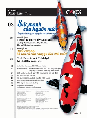 bộ cá koi - tập 8 - Ảnh 3