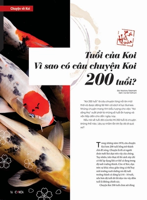 bộ cá koi - tập 8 - Ảnh 4