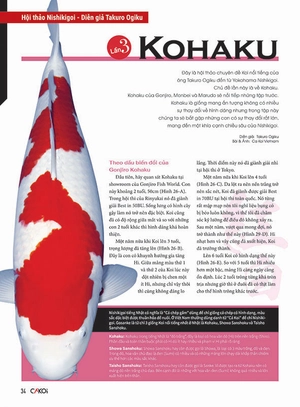 bộ cá koi - tập 8 - Ảnh 5